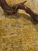 Golden (unique) - 05 (Код: 749562) 3