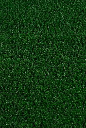 Ковровая дорожка Grass 04_014 7000000 Рулон