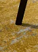 Golden (unique) - 05 (Код: 749562) 9