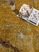 Golden (unique) - 05 (Код: 749562) 4