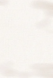Ковровая дорожка Эзра 73127 21016 Рулон