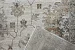 Livante 27204 6969 (Код: 761578) 5