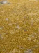 Golden (unique) - 05 (Код: 749562) 19