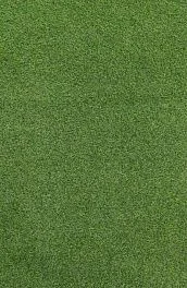 Ковровая дорожка Grass 2.0 04_524 7000000 Рулон