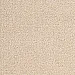 Trend 03 (Код: 763671) 0