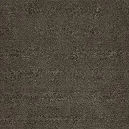 Ковровая дорожка Velvet 07_025 15000000 Рулон